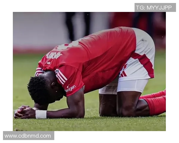 南安普顿对阵谢菲联精彩赛事直播全程回顾与分析